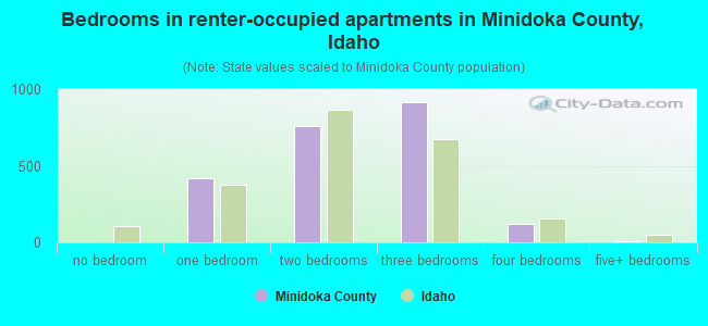 Bedrooms in renter-occupied apartments in Minidoka County, Idaho