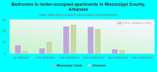 Bedrooms in renter-occupied apartments in Mississippi County, Arkansas