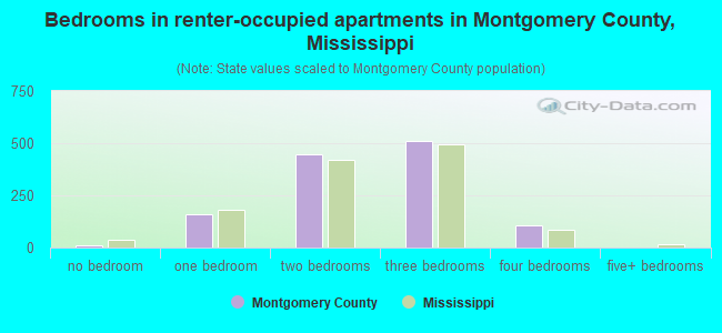 Bedrooms in renter-occupied apartments in Montgomery County, Mississippi