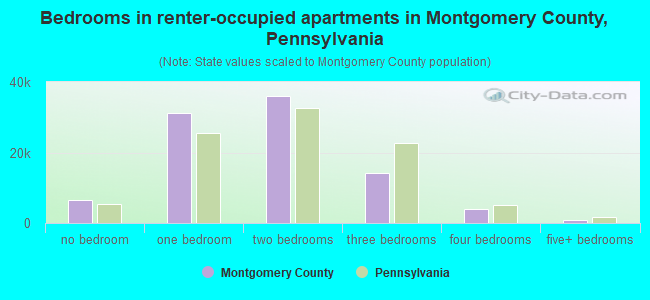 Bedrooms in renter-occupied apartments in Montgomery County, Pennsylvania