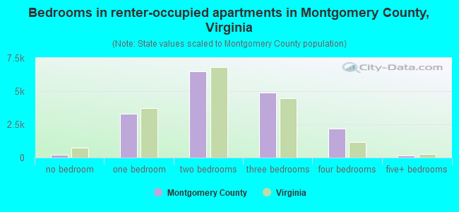 Bedrooms in renter-occupied apartments in Montgomery County, Virginia