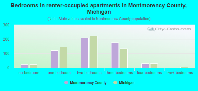 Bedrooms in renter-occupied apartments in Montmorency County, Michigan