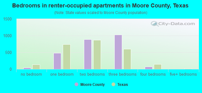 Bedrooms in renter-occupied apartments in Moore County, Texas