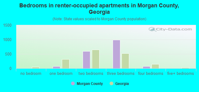 Bedrooms in renter-occupied apartments in Morgan County, Georgia