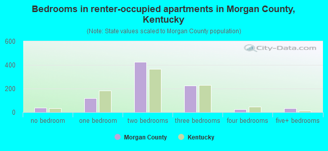 Bedrooms in renter-occupied apartments in Morgan County, Kentucky