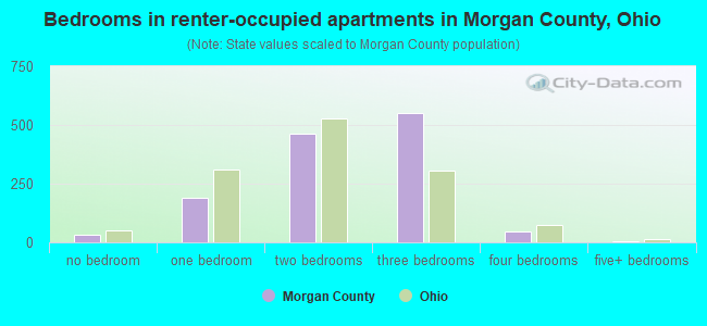 Bedrooms in renter-occupied apartments in Morgan County, Ohio