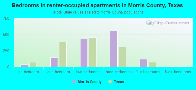 Bedrooms in renter-occupied apartments in Morris County, Texas