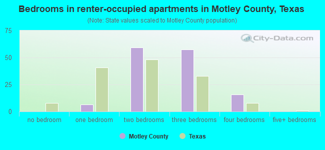 Bedrooms in renter-occupied apartments in Motley County, Texas