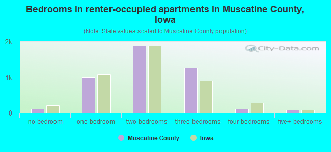 Bedrooms in renter-occupied apartments in Muscatine County, Iowa