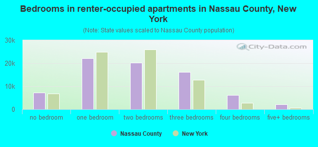 Bedrooms in renter-occupied apartments in Nassau County, New York