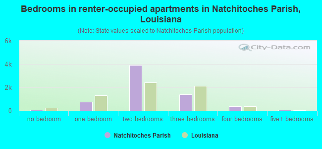 Bedrooms in renter-occupied apartments in Natchitoches Parish, Louisiana