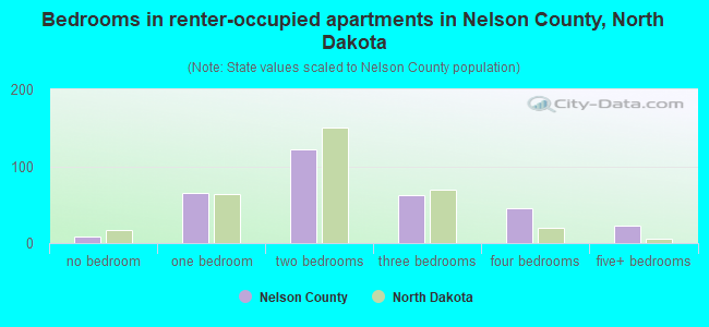 Bedrooms in renter-occupied apartments in Nelson County, North Dakota