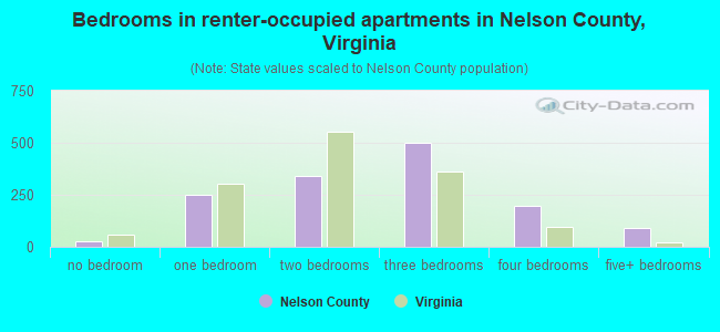 Bedrooms in renter-occupied apartments in Nelson County, Virginia