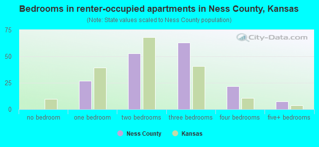 Bedrooms in renter-occupied apartments in Ness County, Kansas