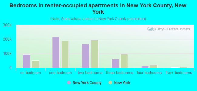 Bedrooms in renter-occupied apartments in New York County, New York