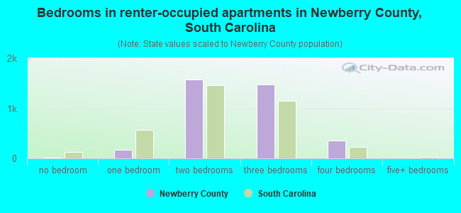 Bedrooms in renter-occupied apartments in Newberry County, South Carolina