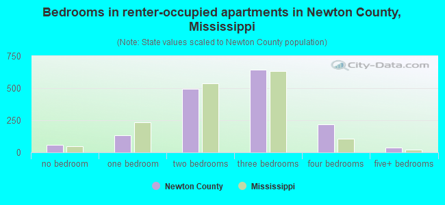 Bedrooms in renter-occupied apartments in Newton County, Mississippi
