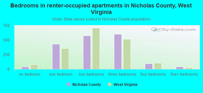 Bedrooms in renter-occupied apartments in Nicholas County, West Virginia