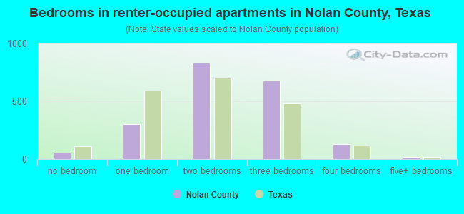 Bedrooms in renter-occupied apartments in Nolan County, Texas