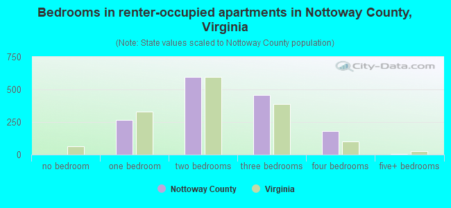 Bedrooms in renter-occupied apartments in Nottoway County, Virginia