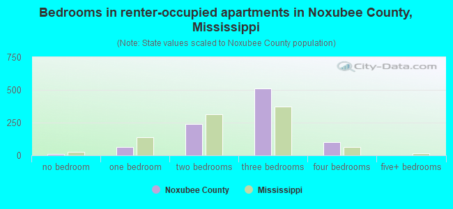 Bedrooms in renter-occupied apartments in Noxubee County, Mississippi