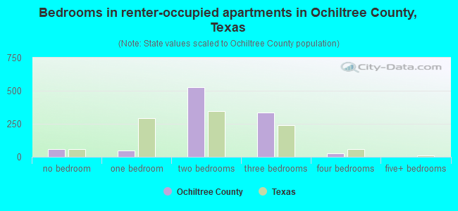 Bedrooms in renter-occupied apartments in Ochiltree County, Texas