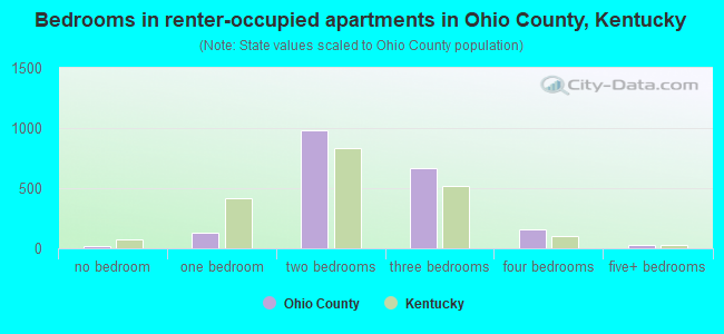 Bedrooms in renter-occupied apartments in Ohio County, Kentucky