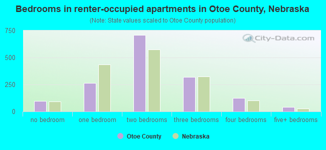 Bedrooms in renter-occupied apartments in Otoe County, Nebraska