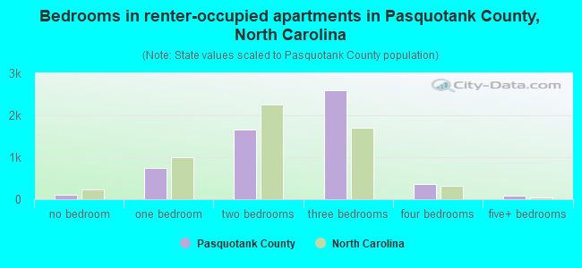 Bedrooms in renter-occupied apartments in Pasquotank County, North Carolina