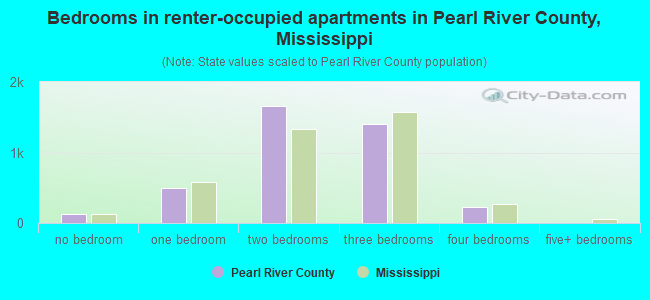 Bedrooms in renter-occupied apartments in Pearl River County, Mississippi