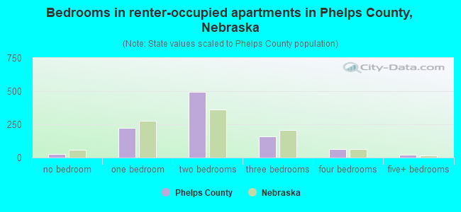Bedrooms in renter-occupied apartments in Phelps County, Nebraska