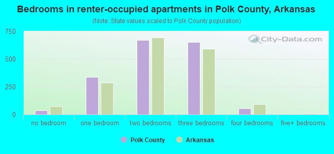 Bedrooms in renter-occupied apartments in Polk County, Arkansas