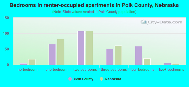 Bedrooms in renter-occupied apartments in Polk County, Nebraska