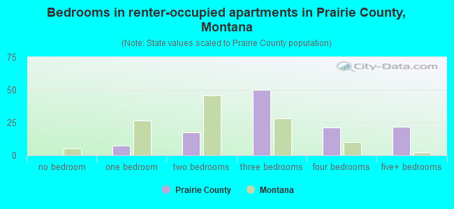 Bedrooms in renter-occupied apartments in Prairie County, Montana