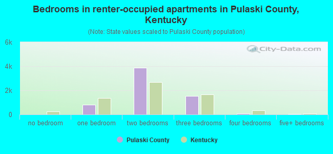 Bedrooms in renter-occupied apartments in Pulaski County, Kentucky