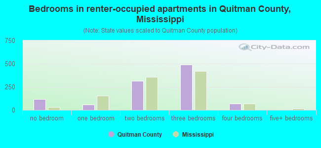 Bedrooms in renter-occupied apartments in Quitman County, Mississippi