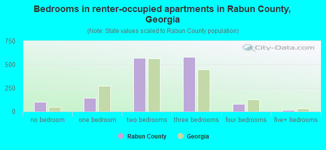 Bedrooms in renter-occupied apartments in Rabun County, Georgia