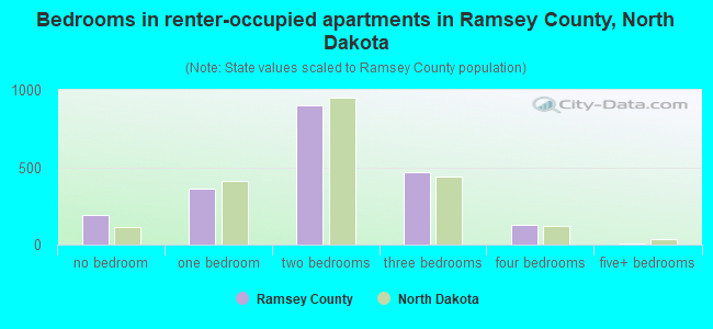 Bedrooms in renter-occupied apartments in Ramsey County, North Dakota