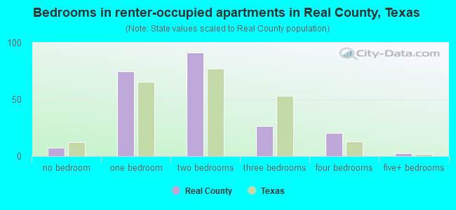 Bedrooms in renter-occupied apartments in Real County, Texas