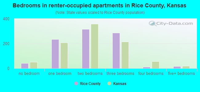 Bedrooms in renter-occupied apartments in Rice County, Kansas