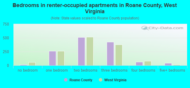 Bedrooms in renter-occupied apartments in Roane County, West Virginia