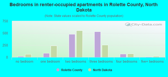 Bedrooms in renter-occupied apartments in Rolette County, North Dakota