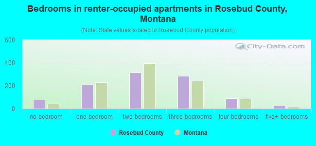 Bedrooms in renter-occupied apartments in Rosebud County, Montana