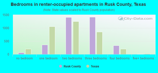 Bedrooms in renter-occupied apartments in Rusk County, Texas