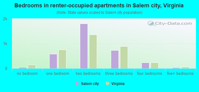 Bedrooms in renter-occupied apartments in Salem city, Virginia