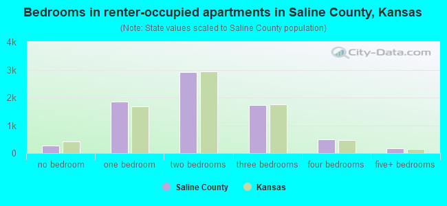 Bedrooms in renter-occupied apartments in Saline County, Kansas