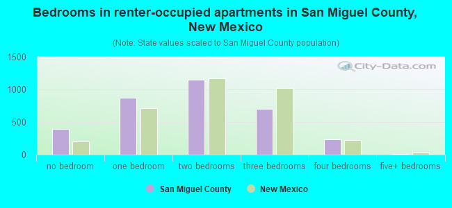 Bedrooms in renter-occupied apartments in San Miguel County, New Mexico