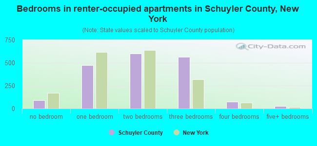 Bedrooms in renter-occupied apartments in Schuyler County, New York