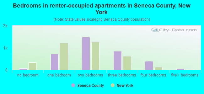 Bedrooms in renter-occupied apartments in Seneca County, New York