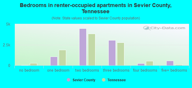 Bedrooms in renter-occupied apartments in Sevier County, Tennessee